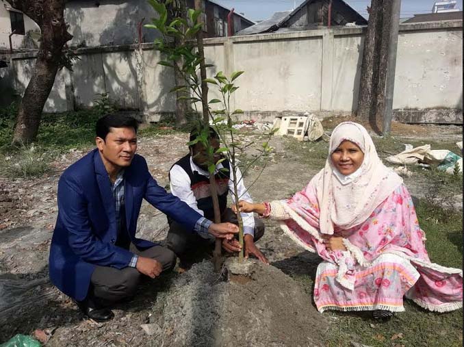 মুজিববর্ষ উপলক্ষে বরগুনা সদর উপজেলা ভূমি অফিসের উদ্যোগে বৃক্ষ রোপণ 