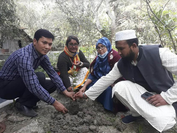 জাতির পিতার জন্মশতবার্ষিকীতে দুমকি উপজেলা  ভূমি অফিসের উদ্যোগে বৃক্ষ রোপণ 