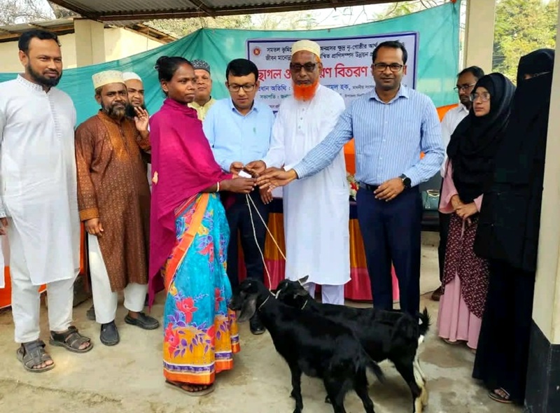 পত্নীতলায় আদিবাসিদের মাঝে ছাগল বিতরণ 