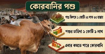 কোরবানির বাজারে মন্দার আভাস