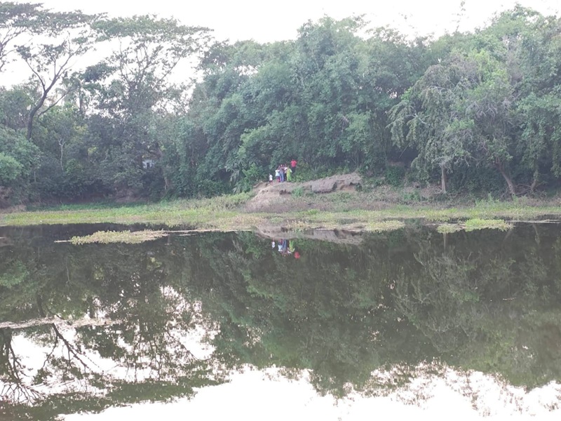 সাতক্ষীরা সীমান্তে বিএসএফের পুশইন চেষ্টা, সর্বোচ্চ সতর্কতায় বিজিবি