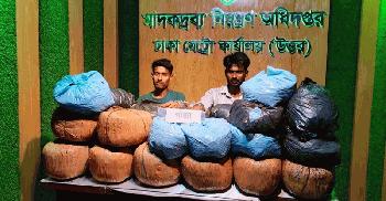 তেজগাঁও শিল্পাঞ্চলে পিকআপভর্তি ৮৬ কেজি গাঁজা উদ্ধার, আটক ২