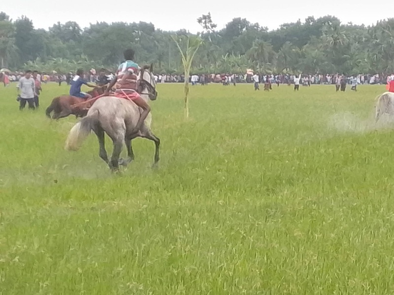 তালার বালিয়াদহে জমজমাট ঘোড়া দৌড় প্রতিযোগিতা অনুষ্ঠিত