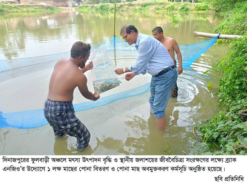মৎস্যসম্পদ বৃদ্ধিতে আমবাড়ীতে ব্র‍্যাকের পোনা অবমুক্তকরণ কর্মসূচি
