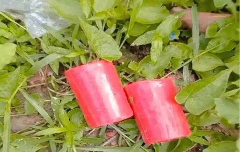 সাতক্ষীরায় বিএনপি অফিসের সামনে থেকে দুটি অবিস্ফোরিত ককটেল উদ্ধার