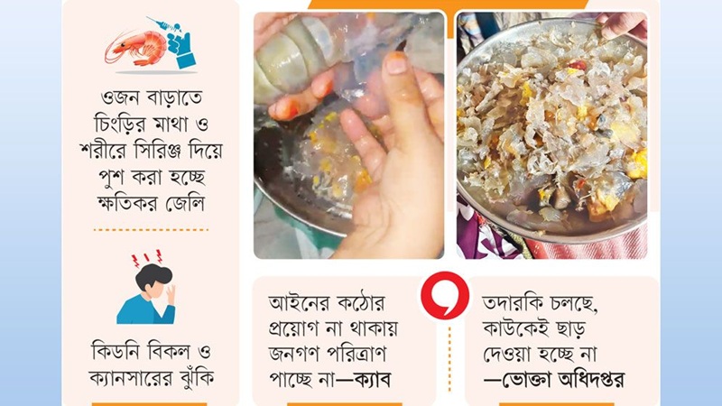 অসাধু চক্রের ফাঁদে ভোক্তা: চিংড়ির নামে পাতে সিলিকা বিষ