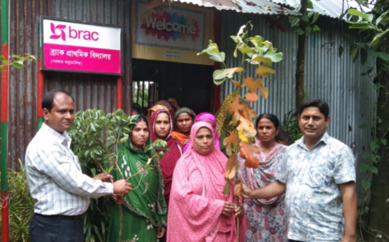 ব্র্যাকের উদ্যোগে হাতীবান্ধায় শিক্ষার্থীদের মাঝে গাছের চারা বিতরণ 