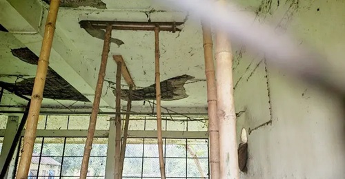 খুঁড়িয়ে চলছে জয়পুরহাটের সরকারি মুরগি খামার