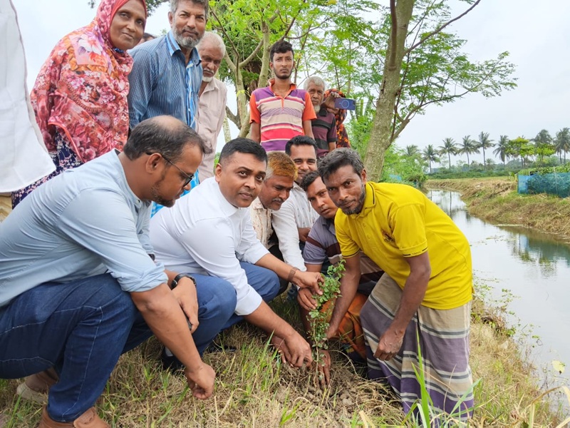 পরিবেশ সংরক্ষণে ইউএনও আরিফুল ইসলামের ব্যতিক্রমী উদ্যোগ