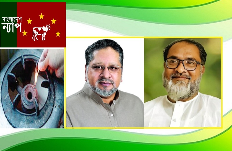 গ্যাস সংকট স্বাভাবিক করতে কার্যকরী ব্যবস্থা গ্রহন করুনঃ সরকারকে বাংলাদেশ ন্যাপ