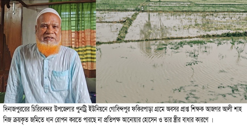 নিজের ক্রয়কৃত জমিতে ধান চাষ করতে পারছেন না, প্রতিপক্ষের বাধার কারণে সাবেক শিক্ষক আজগর আলী শাহ