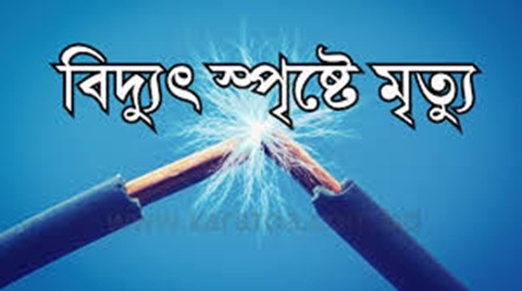 সখীপুরে বিদ্যুৎস্পৃষ্টে প্রাণ গেল দিনমজুরের