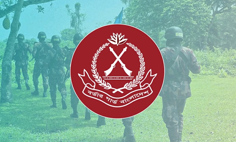 জুলাইয়ে বিজিবির অভিযানে ২০২ কোটি ৬৩ লাখ টাকার চোরাচালান পণ্য জব্দ