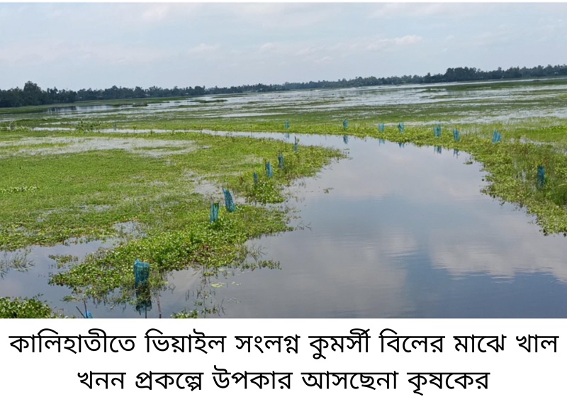 কালিহাতীতে খাল খনন প্রকল্পে অনিয়ম,পানি নিষ্কাশন হচ্ছে না