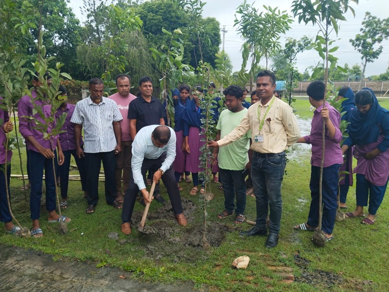 আন্তর্জাতিক তহবিলের অপেক্ষা না করে সাতক্ষীরায় শিক্ষার্থীদের ৫ হাজার বৃক্ষরোপণ