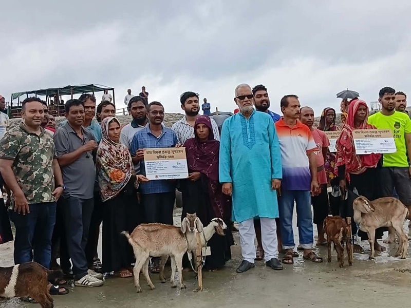 বাঘের হামলায় স্বামীহারা ৩১ পরিবার পেল ছাগল