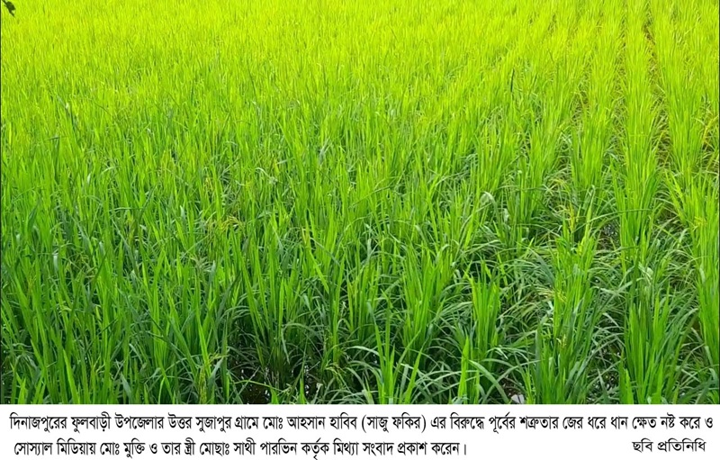 ফুলবাড়ীতে সোস্যাল মিডিয়ায় মিথ্যা খবর