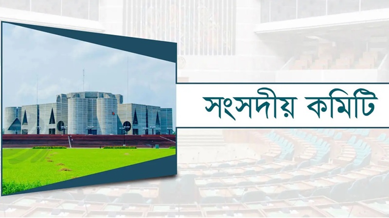 ব্যাংকে পুরোনো মালিকদের ফেরার পথ বন্ধ চায় সংসদীয় কমিটি