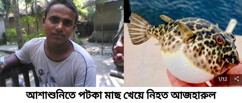 সাতক্ষীরায় পটকা মাছ খেয়ে গৃহকর্তার মৃত্যু, অসুস্থ ৪