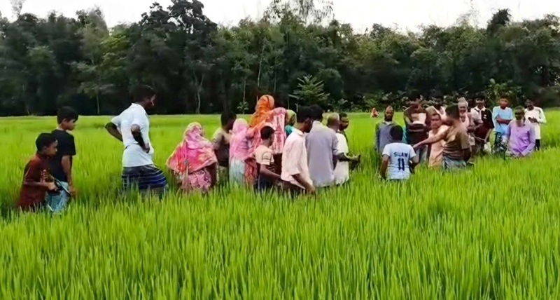 দেবীগঞ্জে ধানক্ষেত থেকে এক নারীর মরদেহ উদ্ধার করেছে পুলিশ
