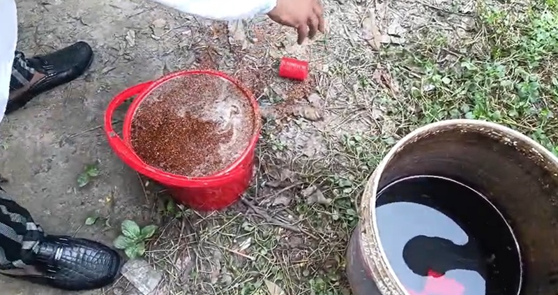 চাঁপাইনবাবগঞ্জে আধিপত্য বিস্তারে ককটেল বিষ্ফোরণে আহত দুই জন, ১১টি তাজা ককটেল উদ্ধার