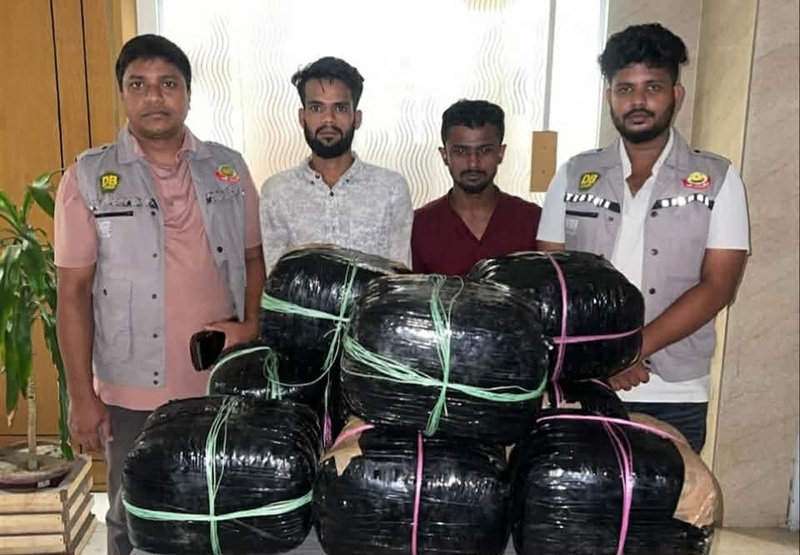 যাত্রাবাড়ীতে ৫০ কেজি গাঁজাসহ দুই মাদক কারবারি গ্রেফতার 
