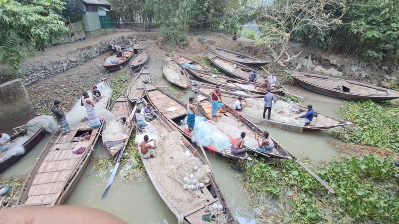মা ইলিশ রক্ষায় ২২দিন মেঘনায় ইলিশ ধরা নিষিদ্ধ 