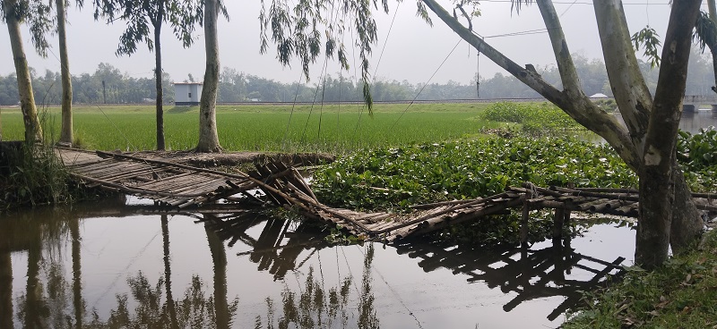 চিলাহাটিতে বাঁশের সাঁকো ভেঙে পড়ায় দুর্ভোগ