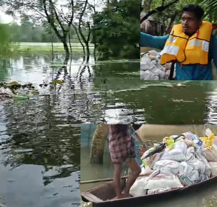 টাঙ্গাইল মির্জাপুরের জামুর্কী-পাকুল্যারের উদ্যোগে আলোড়ন ফাউন্ডেশন এখন বন্যা দুর্গত এলাকায়