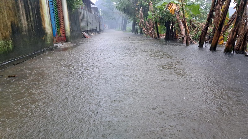 টানা বৃষ্টিতে ফের ডুবছে নোয়াখালী, পানিবন্দি ১২ লাখ মানুষ