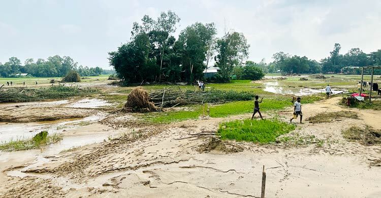 শেরপুরে বন্যায় কৃষি খাতে ক্ষতি ৫০০ কোটি টাকা