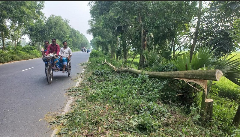 মহাসড়কে গাছ ফেলে বাসে ডাকাতি