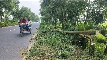 মহাসড়কে গাছ ফেলে বাসে ডাকাতি