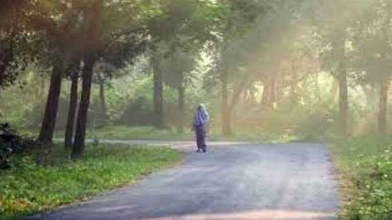 প্রকৃতিতে শীতের আমেজ, কমবে দিন-রাতের তাপমাত্রা