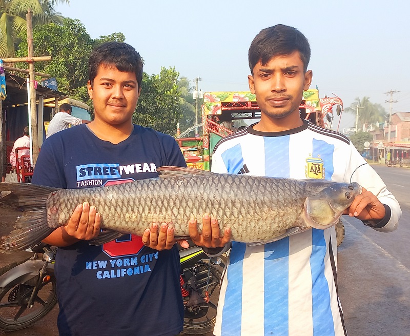 কালাইয়ে নবান্ন উৎসবে জমে উঠেছে মাছের মেলা