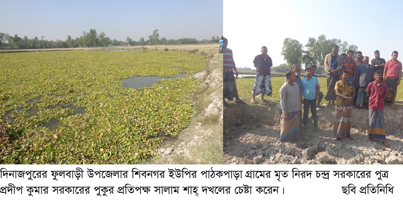 ফুলবাড়ীর পাঠকপাড়া গ্রামে প্রতিপক্ষদের পুকুর দখলের চেষ্টা