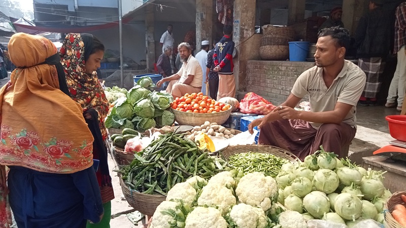 রাজাপুরে শীতকালীন সবজিতে স্বস্তি 