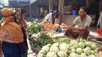 রাজাপুরে শীতকালীন সবজিতে স্বস্তি 