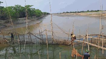 সাতক্ষীরা  আশাশুনির কাদাকাটির  জলমহাল ইজারা পান না জেলেরা