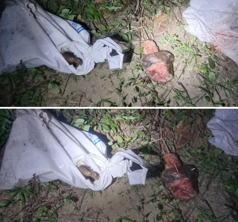 রামুতে মানুষের কাটা পা উদ্ধার