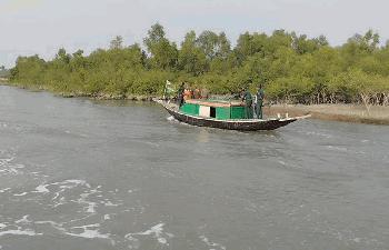 সাতক্ষীরা সুন্দরবনের নদীপথ দিয়ে ৬২ জন ভারতীয় নাগরিককে পুশ ইন