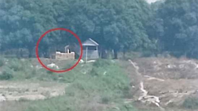 চাঁপাইনবাবগঞ্জ সীমান্তে বিএসএফের বাঙ্কার নির্মাণ
