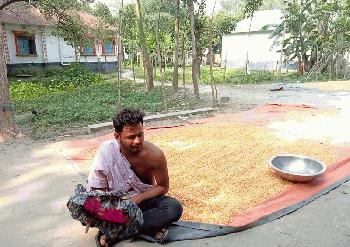 তীব্র তাপপ্রবাহে পঞ্চগড়ের মানুষসহ প্রাণিকুলের হাঁসফাঁস অবস্থা
