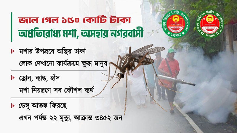 অতিষ্ঠ রাজধানীবাসী: ‘অপ্রতিরোধ্য’ মশার পেটে ১৫০ কোটি টাকা, ফলাফল শূন্য