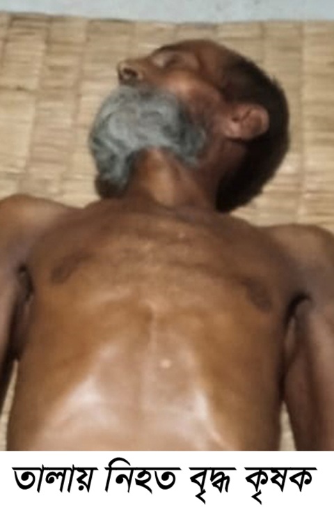 সাতক্ষীরার তালায় গরুর ধান খাওয়াকে কেন্দ্র করে প্রতিপক্ষের হামলায় বৃদ্ধ