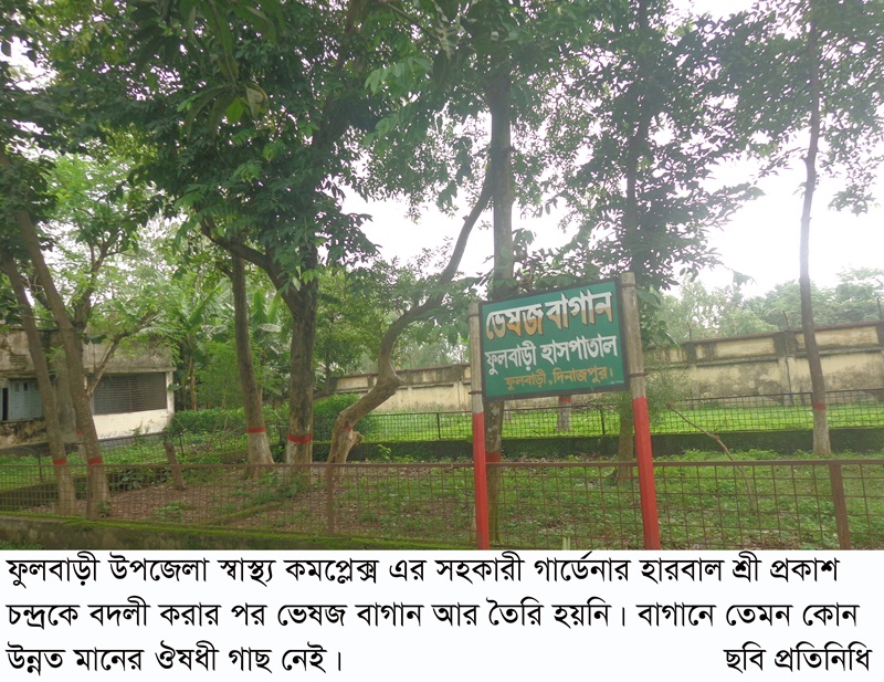 ফুলবাড়ী উপজেলা স্বাস্থ্য কমপ্লেক্স এ গার্ডেনারের বদলি হওয়ায় তৈরি হয়নি ভেষজ বাগান