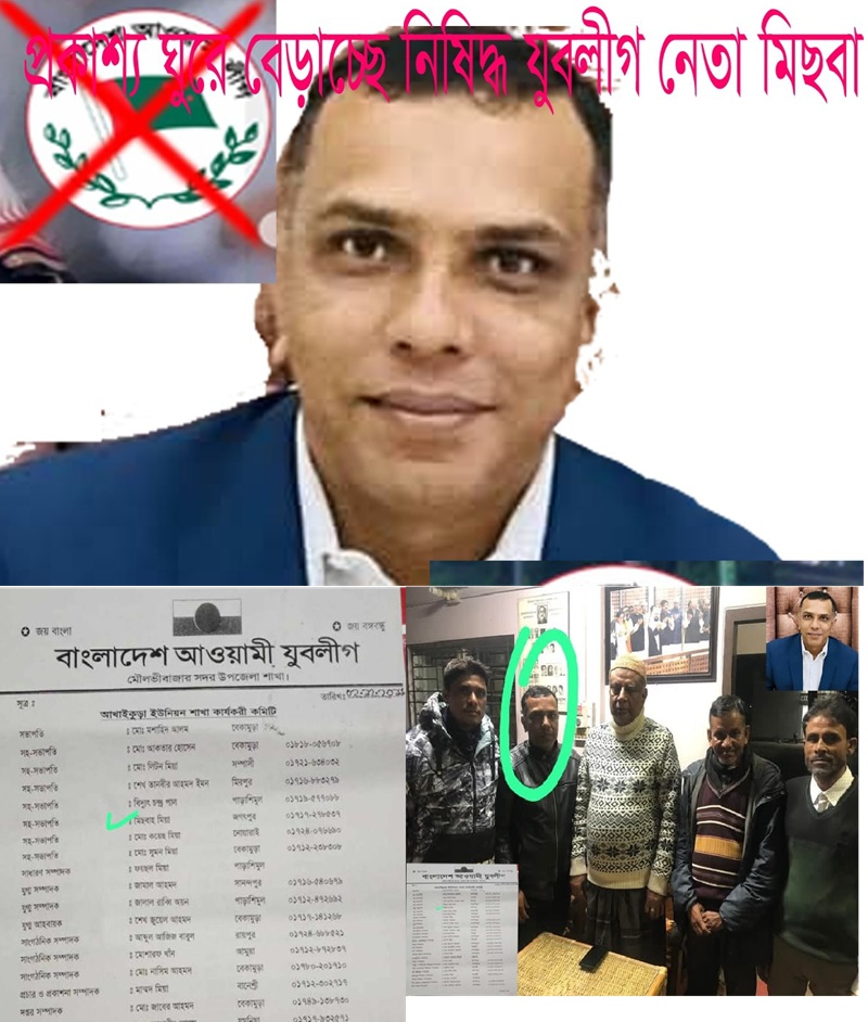 মৌলভীবাজারে  ছাত্র-জনতার উপর হামলাকারী  যুবলীগ ক্যাডার  মিছবা  প্রকাশ্যে বেড়াচ্ছে!