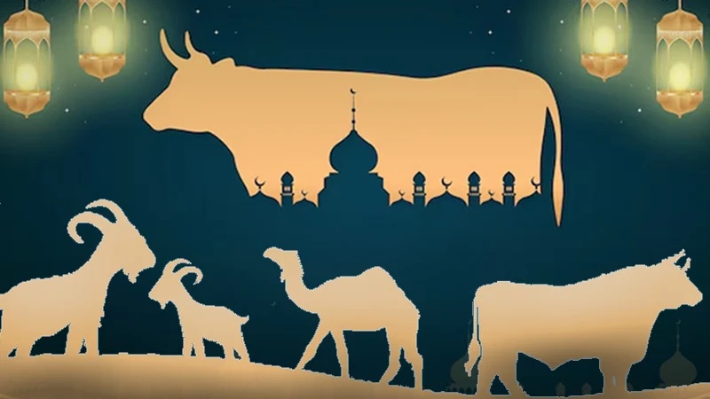 কুরবানির পশুর চামড়া-গোশত বিক্রি করা যাবে?