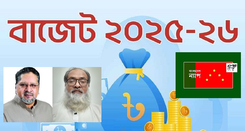 বাজেটের আকার কমলেও পুরোনো কাঠামো অক্ষুন্ন : বাংলাদেশ ন্যাপ