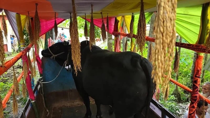 সোহাগ মৃধার ‘কালো মানিক’ গ্রহণ করেননি খালেদা জিয়া